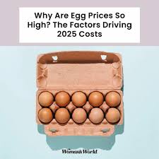 High Egg Prices Explained