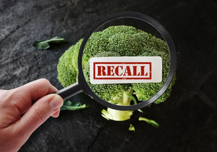 Recent Food Recalls